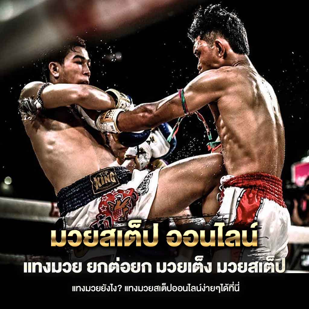 แทงมวยสเต็ป2 ยอดนิยม มาแรงที่สุด ในประเทศไทย อับดับ 1 ตลอดกาล UFAR88